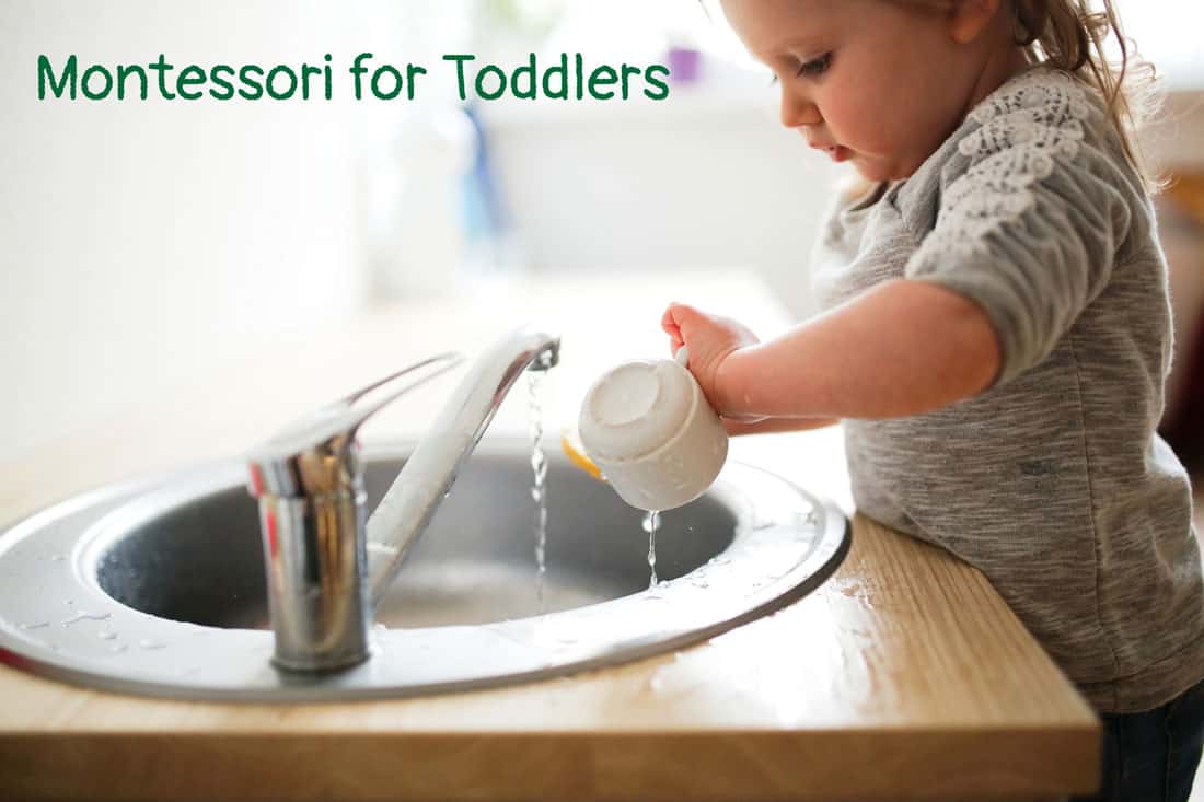 Montessori For Toddlers Brighton Mi